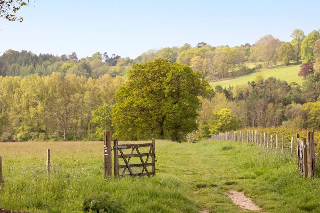 Pickeridge Farm fields